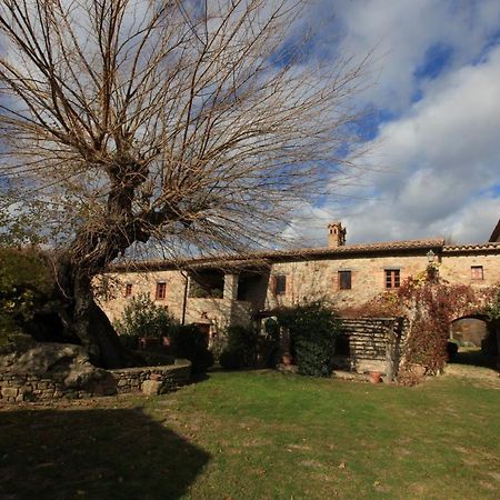 Antico Gelso Vila Todi Exterior foto